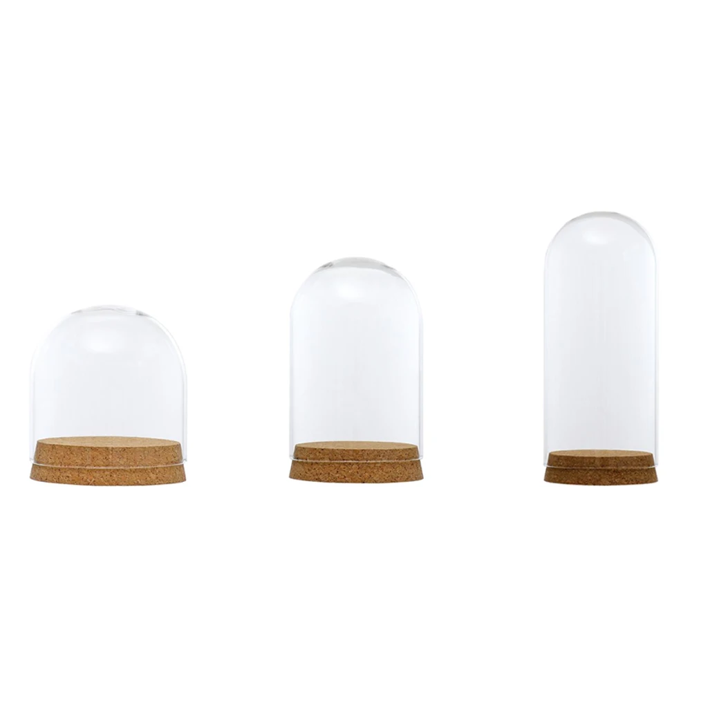 Clear Glass Display Dome Cover Cloche Bell Jar Succulent Terrariums with Wood Cork for Home Office Table Decor DIY