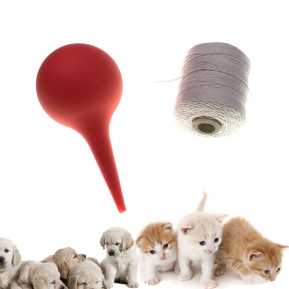 Do You Have To Tie The Umbilical Cord On Puppies