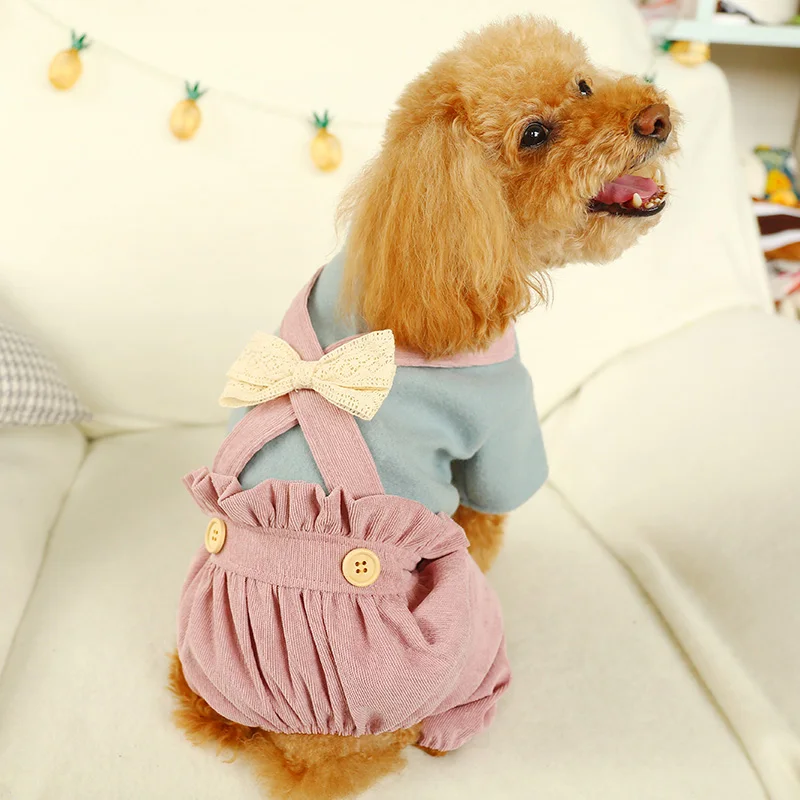 Спецодежда для собак осень комбинезон для собак для девочек плюшевый вельвет платье принцессы одежда с принтом в виде собак XS S M L XL