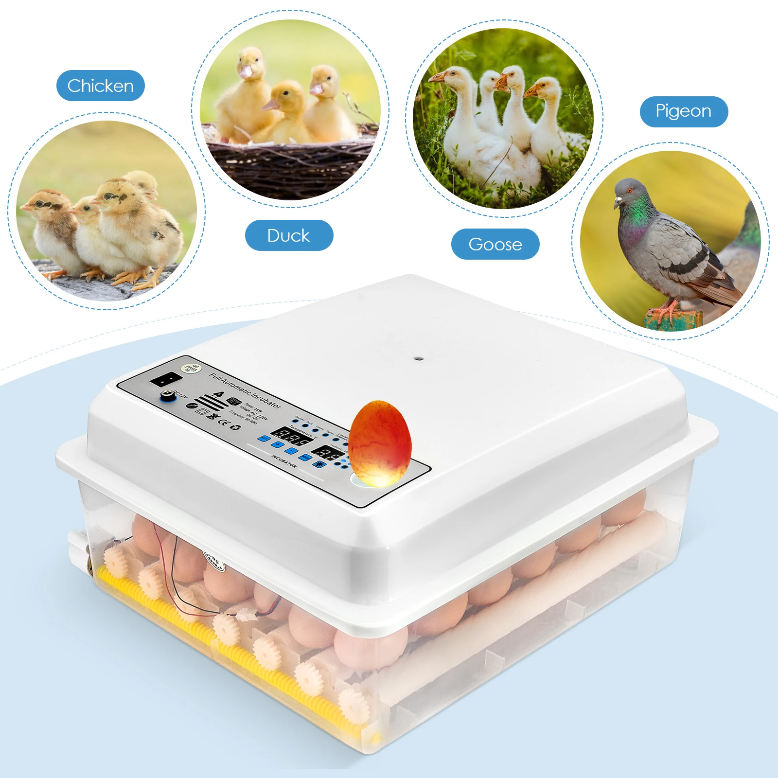 Eggs BIncubator 36 Digital Mini Automatic Intelligent Chicken Duck Goose Pigeon Peacock Incubator Brooding Machine | Дом и сад