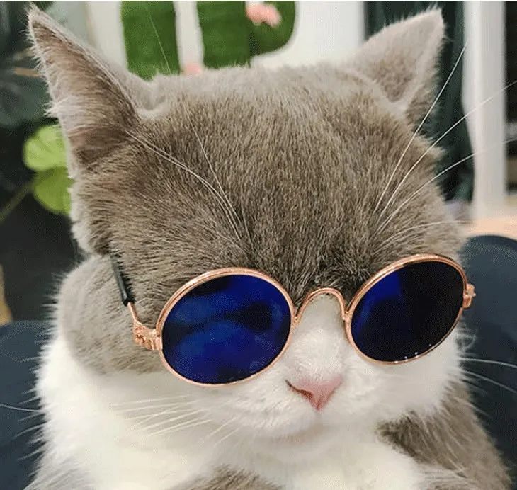 Pet Cat Glasses Fashion Cute Eye-Wear Sunglasses For Cats Dog Accessories For Little Pets Photos Prop Pet Products, 1 Piece