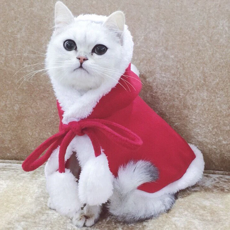 7861372477_602832808