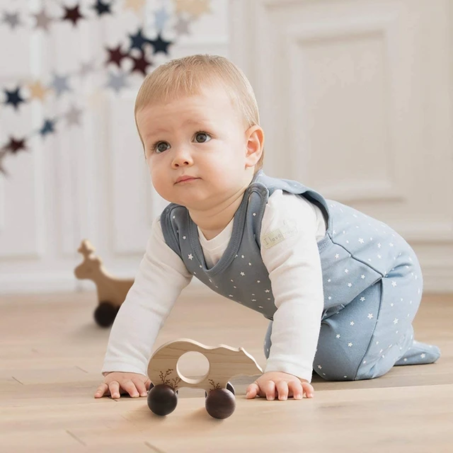 Nordic Style Wooden Toys for Children Montessori Maple Wooden Building Block Car Baby Educational Toys Newborn Baby Toddler Toys 6