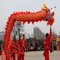 10m Size 5 Dragon Dance Costume Silk 8 Players Children Student School New Year Halloween Party Performance Parade Folk Stage