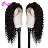 Lace Wigs