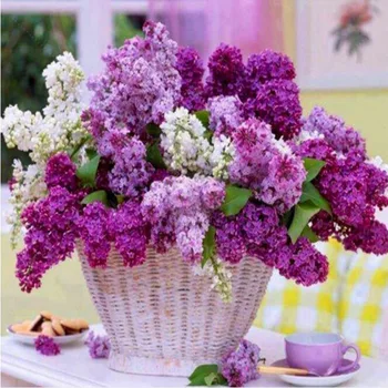 

Patterns Rhinestones Purple Blooming Flowers 5d Diy Diamond Painting Diamond Embroidery 3D Full Mosaic Pictures Bordado Hot