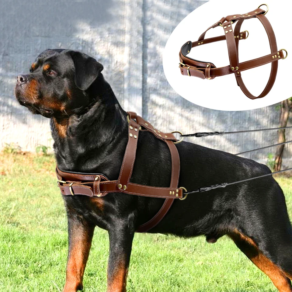 leather pet harnesses