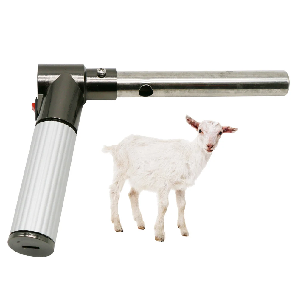 Sheep Dog