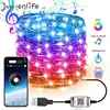 USB LED String Light Bluetooth App Control Copper Wire String Lamp Waterproof for Christmas Tree Decoration Indoor And Outdoor ► Photo 2/6