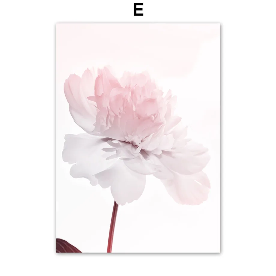 Pink-Flower-Phalaenopsis-Peony-Dahlia-Quotes-Wall-Art-Canvas-Painting-Nordic-Posters-And-Prints-Wall-Pictures (7)