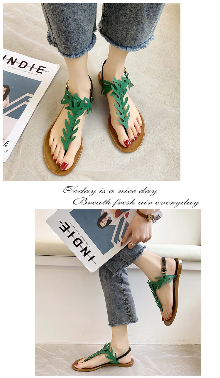 13282242269_102955717