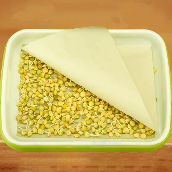 

100 Pcs Green Protection Sprouts Planting Paper Soilless Cultivation Nursery Paper For Tray Pots Sprout Plate Seedling Paper
