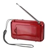 Portable Audio 