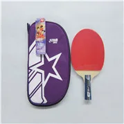 Пинг-Понг DHS a Star пинг-понг DHS Racing Top a Star пинг-понг