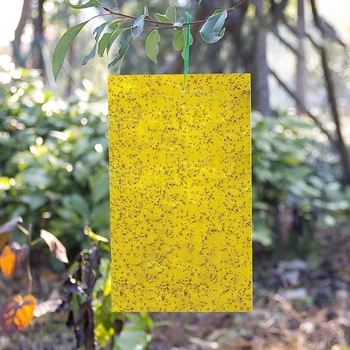 

20pcs Sticky Insect Plate +20pcs Iron Wire Dual-Sided Sticky Traps with Twist Ties for Flying Plant Insect My12 20 Dropship
