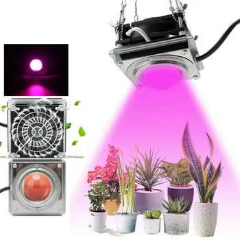 

2PCS 60W Growing Lamps LED Grow Light AC85-265V Full Spectrum Plant Lighting Fitolampy For Plants Flowers Seedling Cultivation