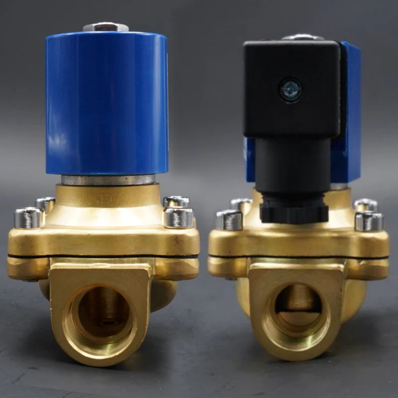 DC24V AC220V 110V 24V,SMS Large diameter Direct Acting Normally Closed Solenoid Valve,brass Water valve,