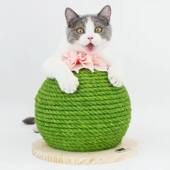

Cactus Scratching Poster with Flower Decor Cat Ball Scratch Wooden Board Cat Toy U90A