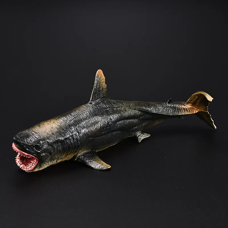 

Model Megalodon Model Oceans Animal Model Toy Great White Shark Model Educational Toy