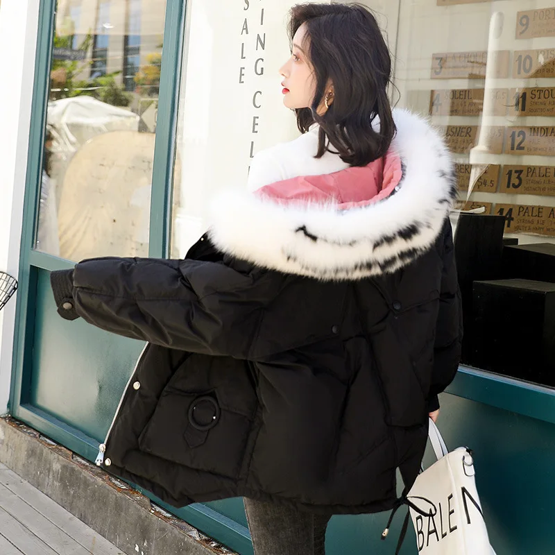 

Down Jacket Cotton-padded Clothes Women's Short 2019 Winter New Style Korean-style Loose-Fit Cotton-padded Clothes Short-height