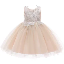 Новое Летнее Детское платье цвета шампанского кружевное платье принцессы для девочек, кремовая Вышивка Вечерние платья для девочек с цветочным рисунком
