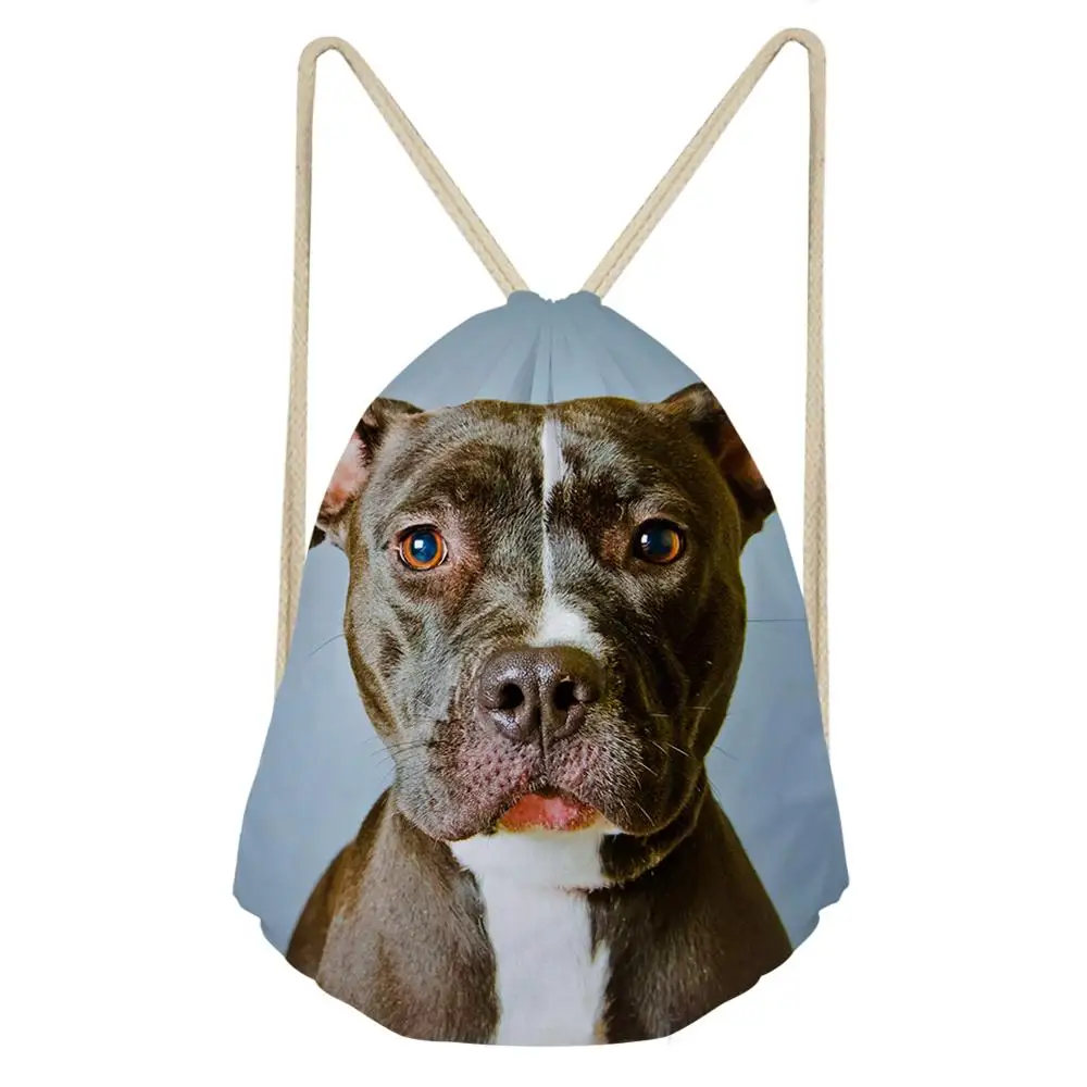 CDGX852Z3 Школьный рюкзак Pitbull Bull Dog для подростков, девочек и мальчиков, Студенческая сумка для книг, настраиваемое изображение домашних животных, 16 дюймов, ранец, дорожная сумка - Цвет: CDGX852Z3