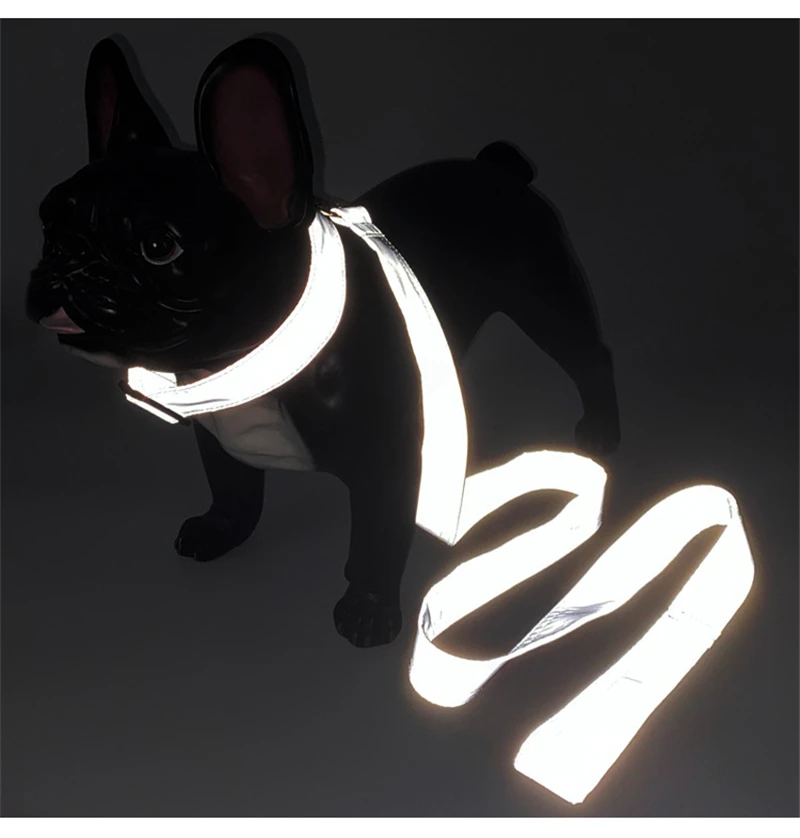 Personalized Collar (1)
