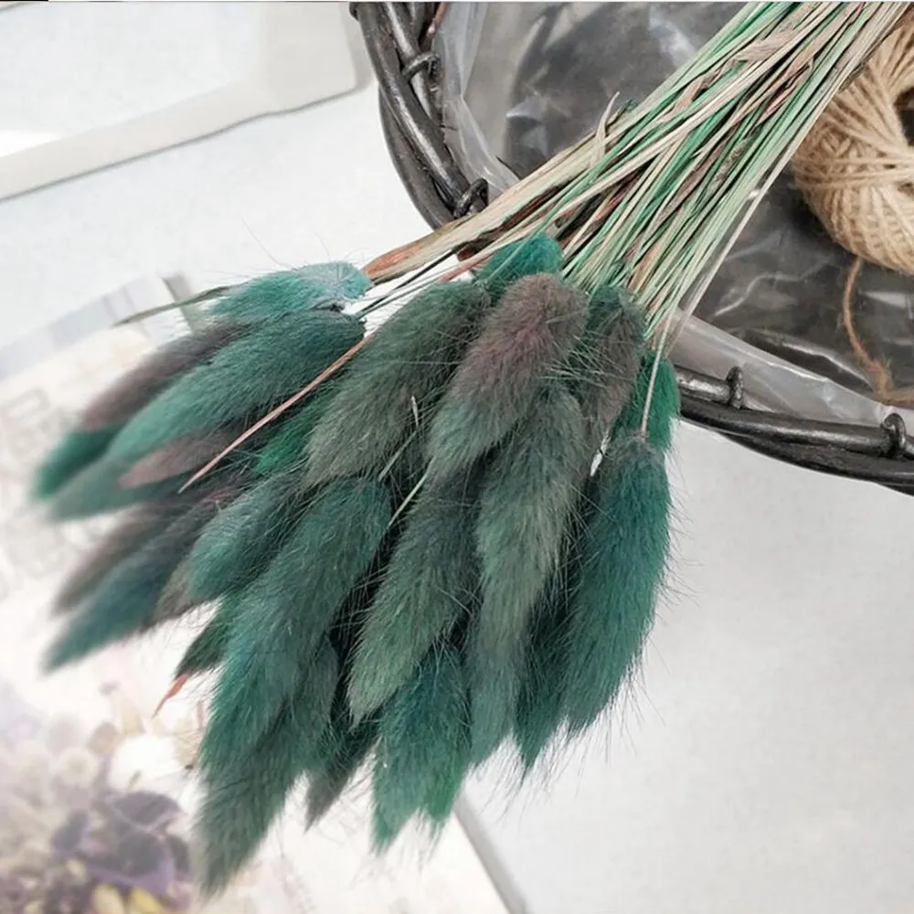 Gradient green 30 шт./лот, градиентный букет из натуральных сушеных цветов laguurus Ovatus, сделай сам, свадебное украшение для дома, Кролик хвост, трава, настоящие цветы - Цвет: Gradient green