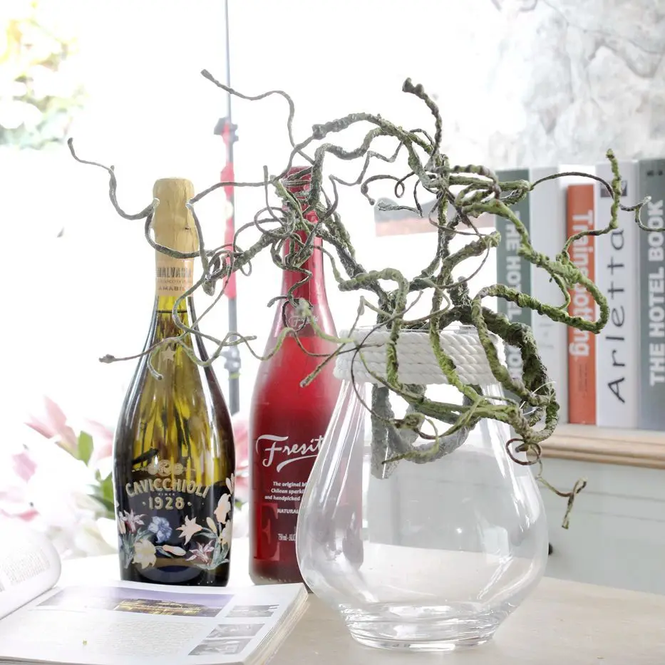 3125559004_773204859