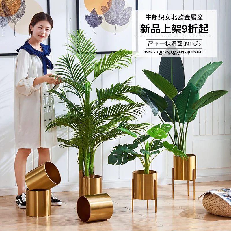 O1CN01ykRN8C1zqsKnzazVj_!!2482926766