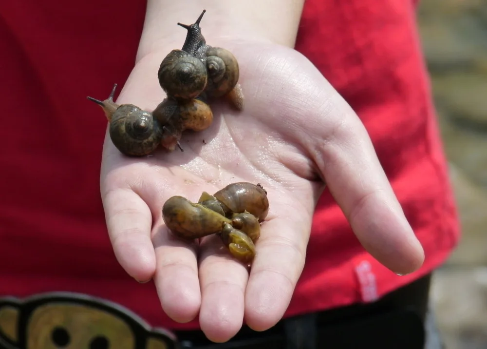 HTB1TRYRJVXXXXbMXFXXq6xXFXXXo