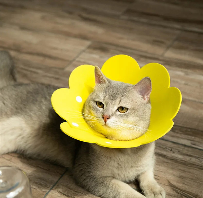 Collar protector para el cuello con forma de flor de Sol para gato y cachorro, antimordeduras, antimordeduras, antilamer, adorable, isabelino