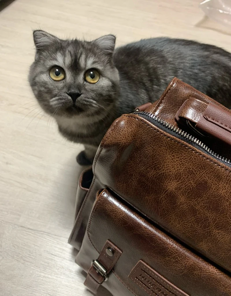 Ue3d09ccfe6ea4e1abbb8a95dcdb15fbfH