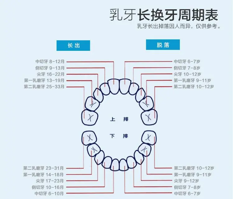 Tooth Box Template1_18