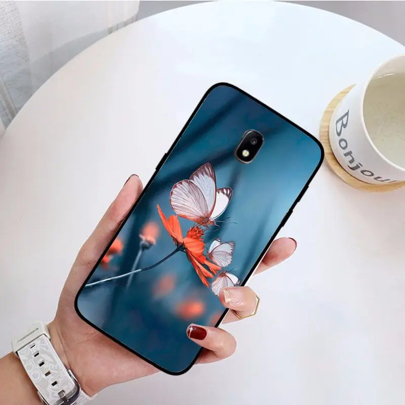 Red butterfly on white roses flower