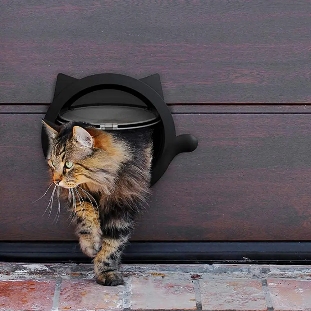 Orificio de acceso para puerta de gato, juguete controlable para Entrenamiento de mascotas