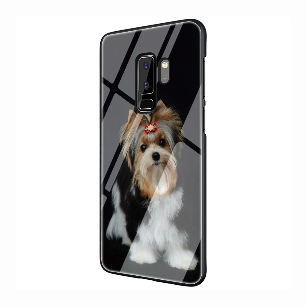 G1 EWAU йоркширский терьер собака закаленное стекло чехол для телефона samsung Galaxy S7 edge S8 9 10 Plus Note 8 9 10 A10 20 30 40 50 60 - Цвет: G1