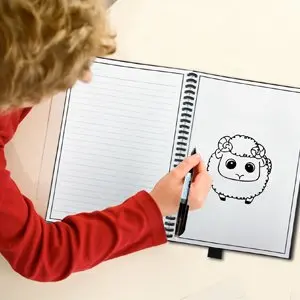 

Smart Reusable Erasable Notebook A5 B5 Paper Wirebound Notebook Cloud Flash Storage Erase Notepad Note Pad Lined with pen