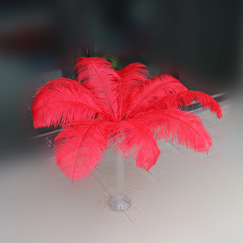 9 鸵大杆 大红 60-65cm 2