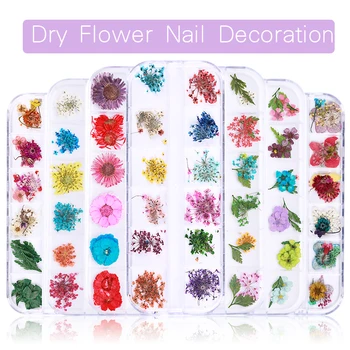 

1 Box Colorful Dried Flower Preserved Fresh Flower Tips DIY for Nail Art Decoration with Nail Tweezer