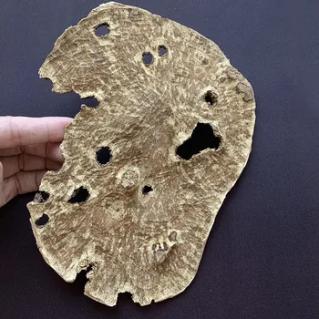 

28.7g Natural Chinese HaiNan oudh incense block home fragrances good decor