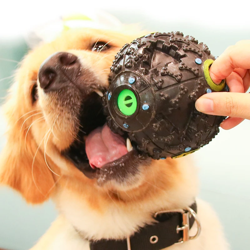 Dog Toy Ball Food Funny Toothbrush Stick Pet Dog Toys For Small Large Dogs Tooth Brush Bite Resistant Puppy Pet Chew Toys Rubber (4)