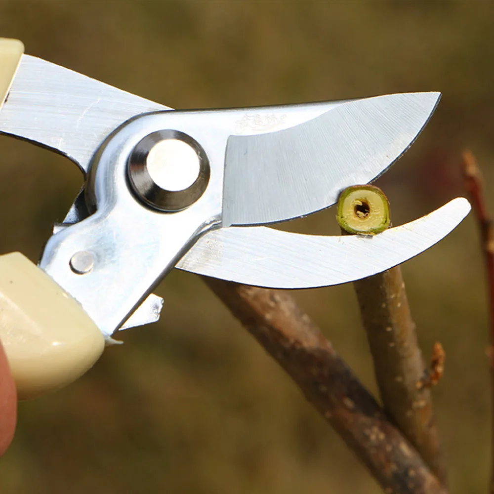 Pruning shears секатор садовый. Секаторы для веток деревьев. Секатор для веток деревьев. Секатор усиленный сучкорез 30 760mm. Секатор для веток.