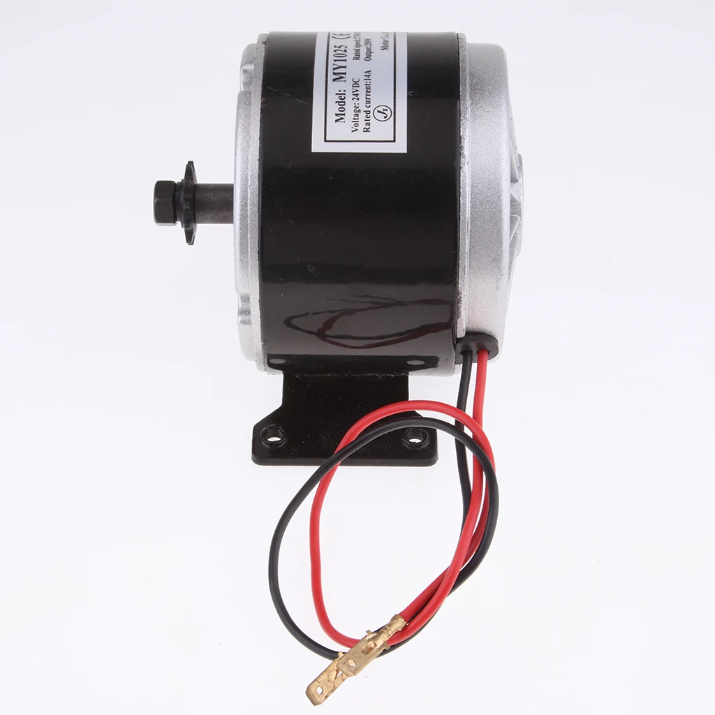 

Electric Scooter DC 24V 250W 2750RPM Electric Motor For MY1025 Models