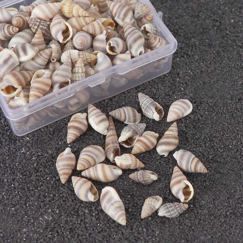 

1 Box Pattern 4 Styles Nature Beach Fashion Sea Shells For DIY Caft Decor Jewelery Craft Accessories Holes Shell Decoration