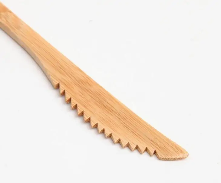 36020190228172533288