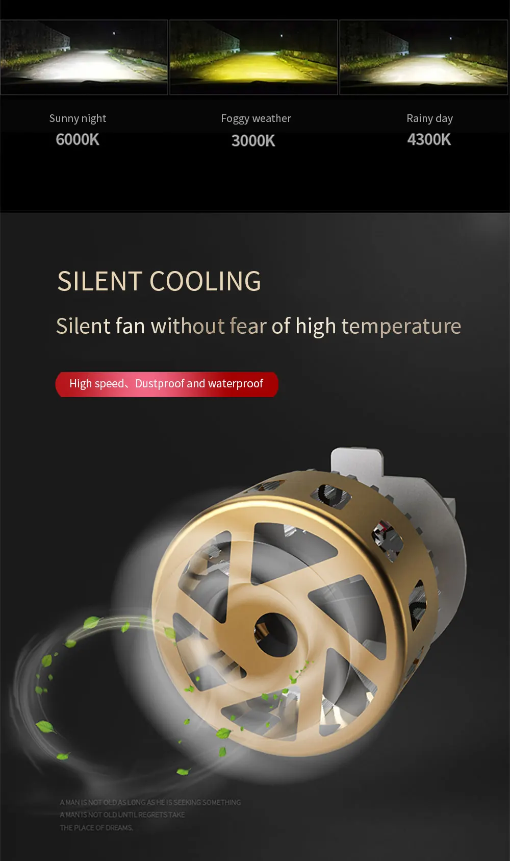 飞LI浦三色温_03