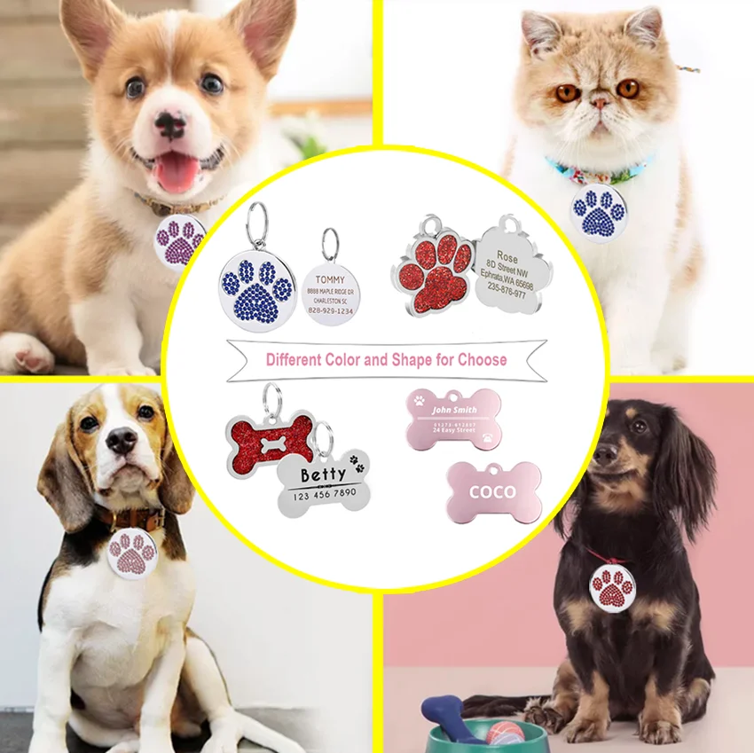 Pet Id Tags Personalized Address Tags For Dogs Cats Name Pet Id Collars