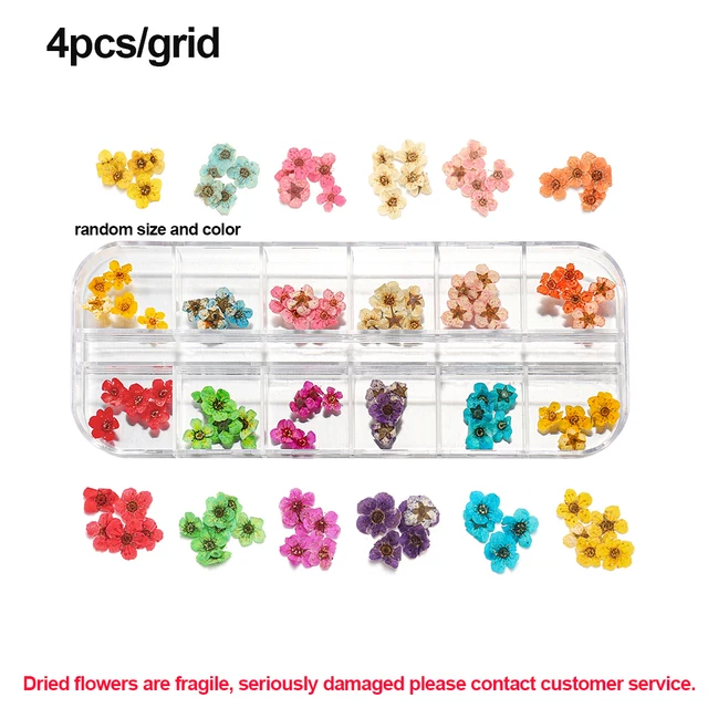 1Box Dried Flowers Dry Plants for Rsein Molds Fillings Epoxy Resin Pendant Tweezers Jewelry Making Craft DIY Nail Art Decoration Style 09