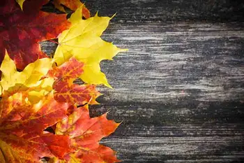 

SHENGYONGBAO Art Fabric Custom Photography Backdrops Prop Floral and Wood Planks Photo Studio Background XH19912-3113